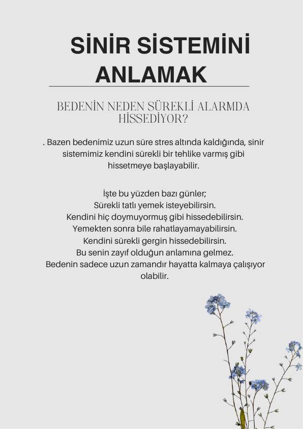 Goddess Project sinir sistemi rehberi sayfası